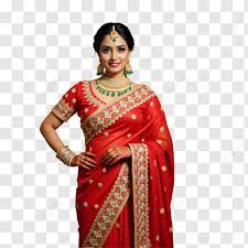 Woven Banarasi Cotton Blend Saree
